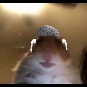 Meet your Posher, Jeff